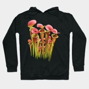 Gardening Sarracenia Pitcher plant Carnivorous plant Hoodie